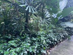 Duchess Avenue (D10), Detached #496788731